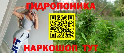 spice Можга