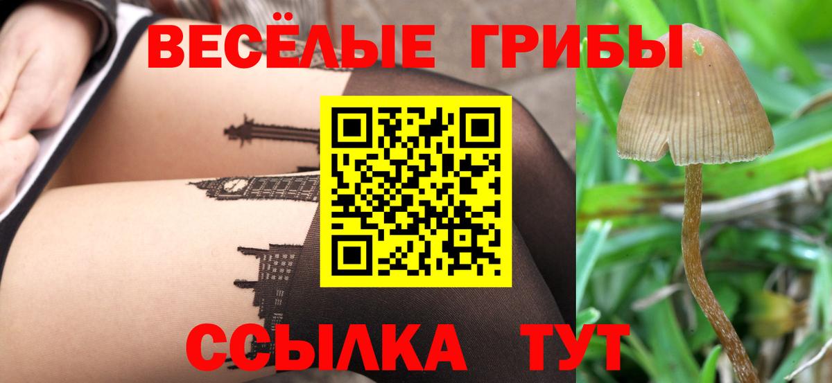 Псилоцибиновые грибы MAGIC MUSHROOMS  Псилоцибиновые грибы мухоморы  Топки  Вход с VPN 