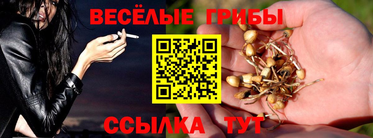 Галлюциногенные грибы Magic Shrooms Топки